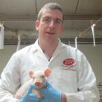 Shane McAuliffe